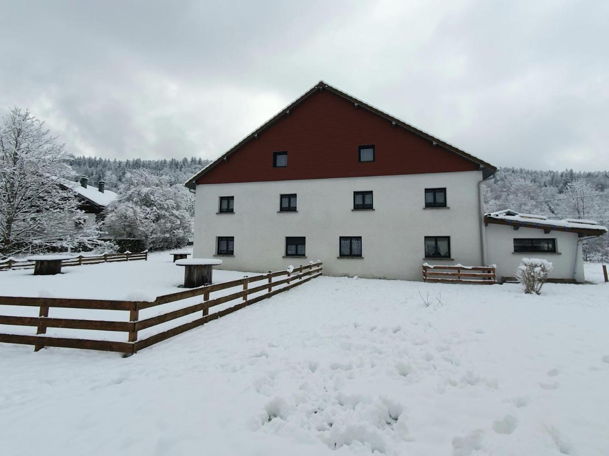 appart lièvre 4 étoiles Cornimont Exterior foto